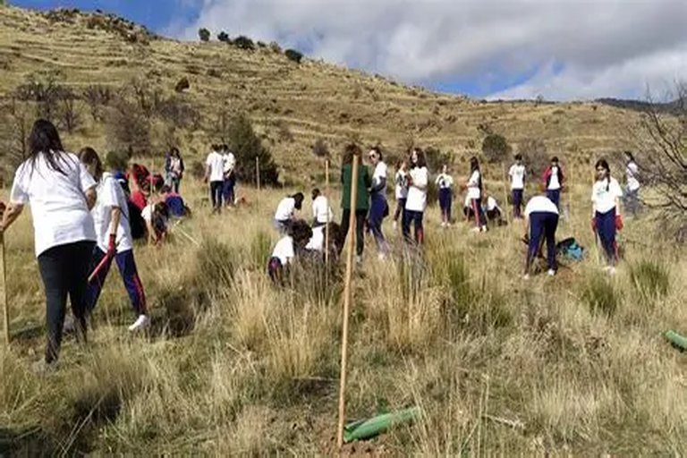 Madrid aprueba plan de reforestación urbana